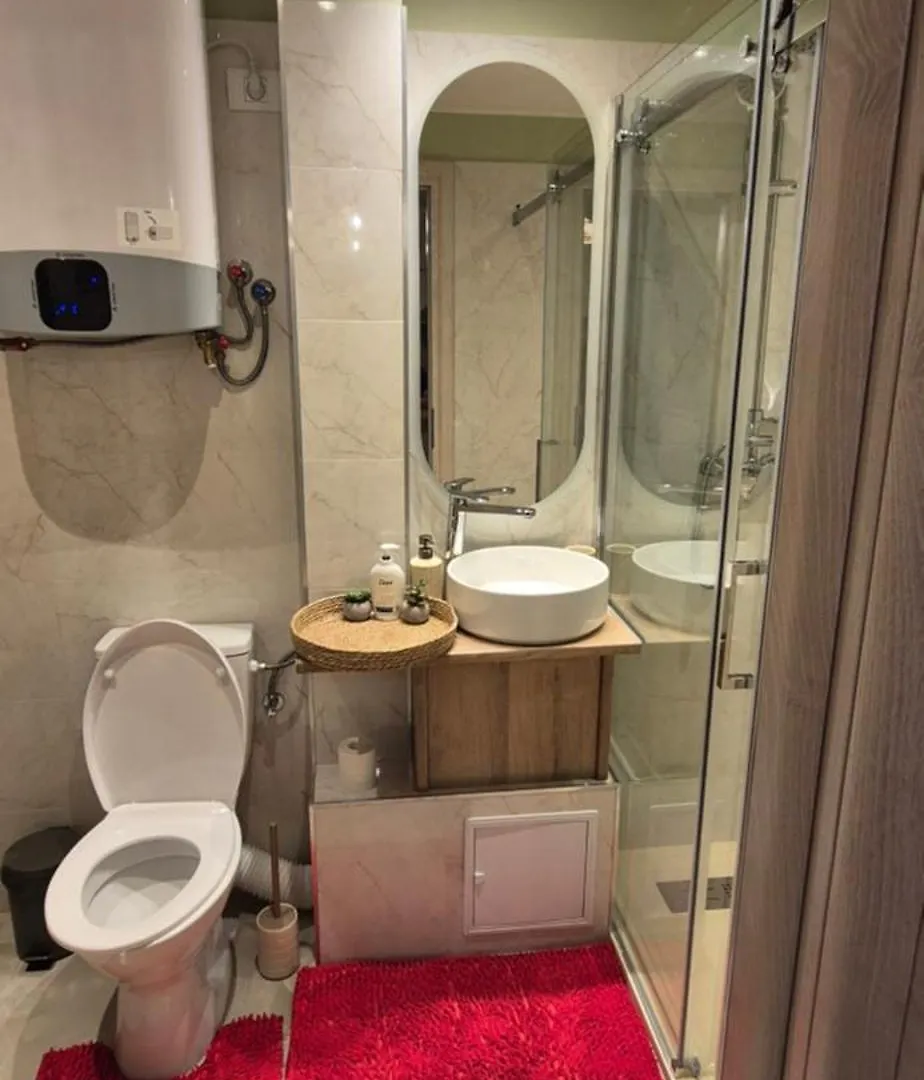 Apartment Ina Herastrau Bucharest Romania