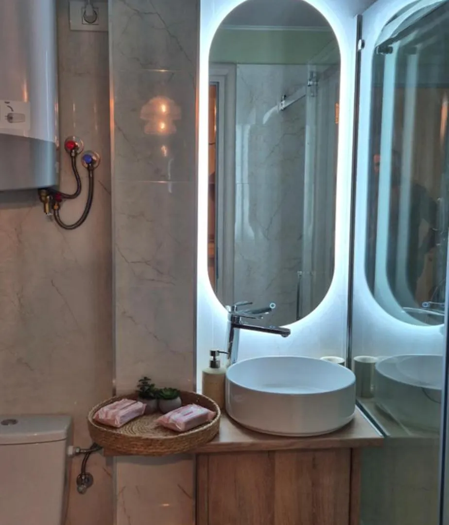 Ina Herastrau Bucharest Apartment